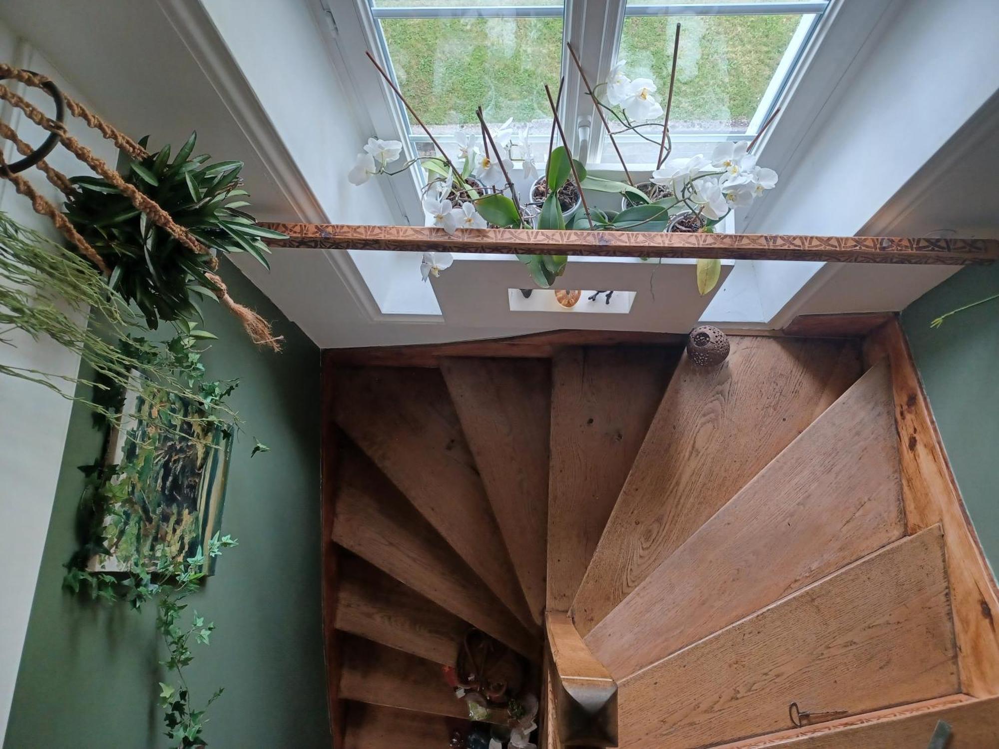 Le Banellou Bed & Breakfast Quimper Dış mekan fotoğraf