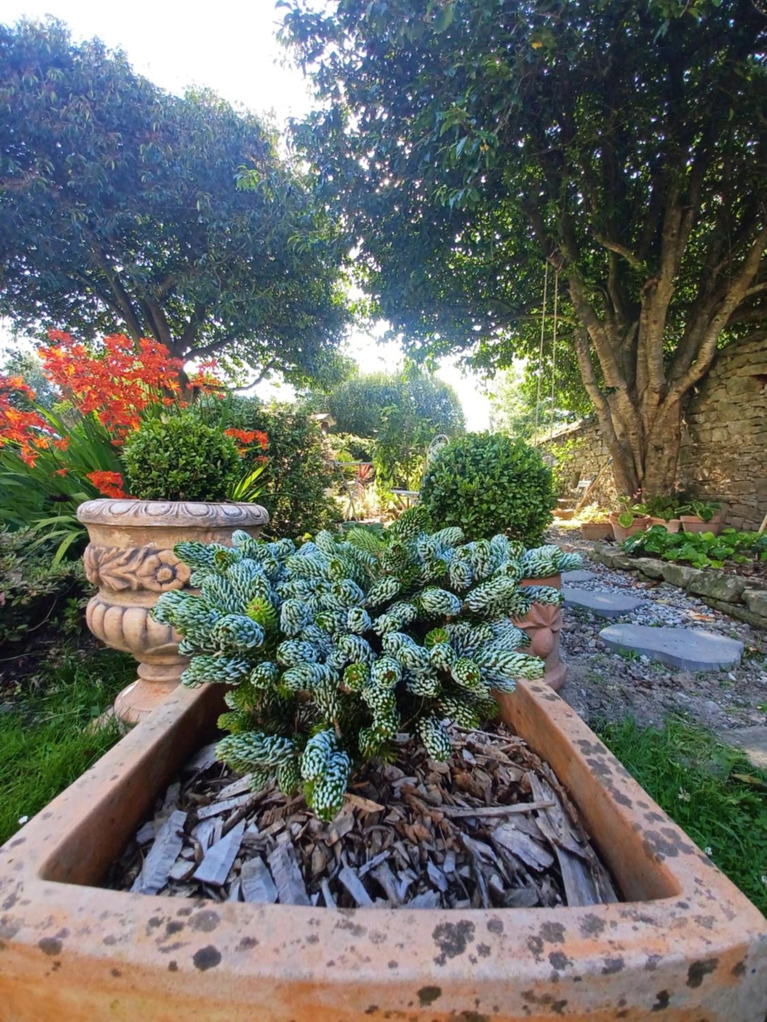 Le Banellou Bed & Breakfast Quimper Dış mekan fotoğraf