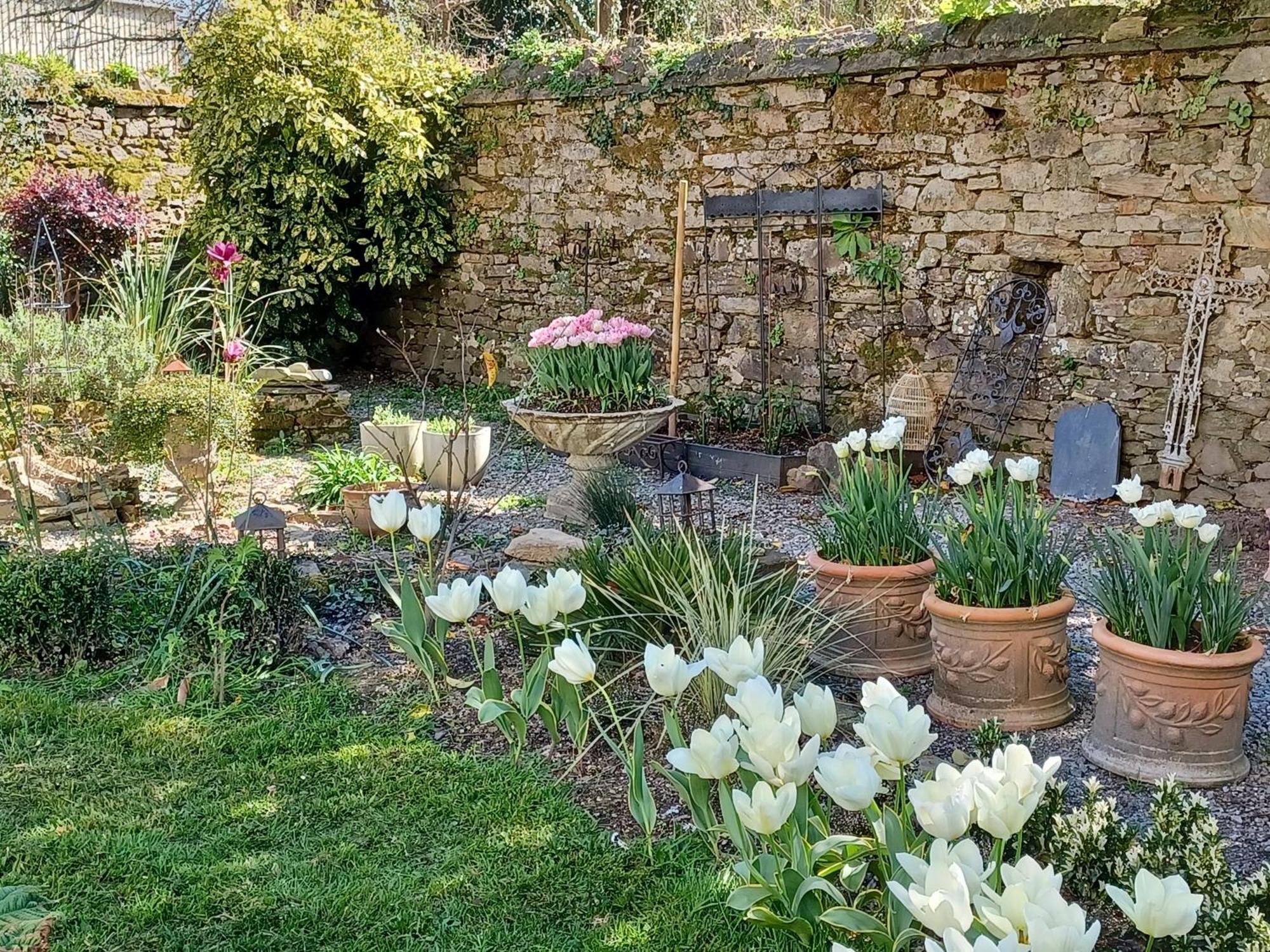 Le Banellou Bed & Breakfast Quimper Dış mekan fotoğraf