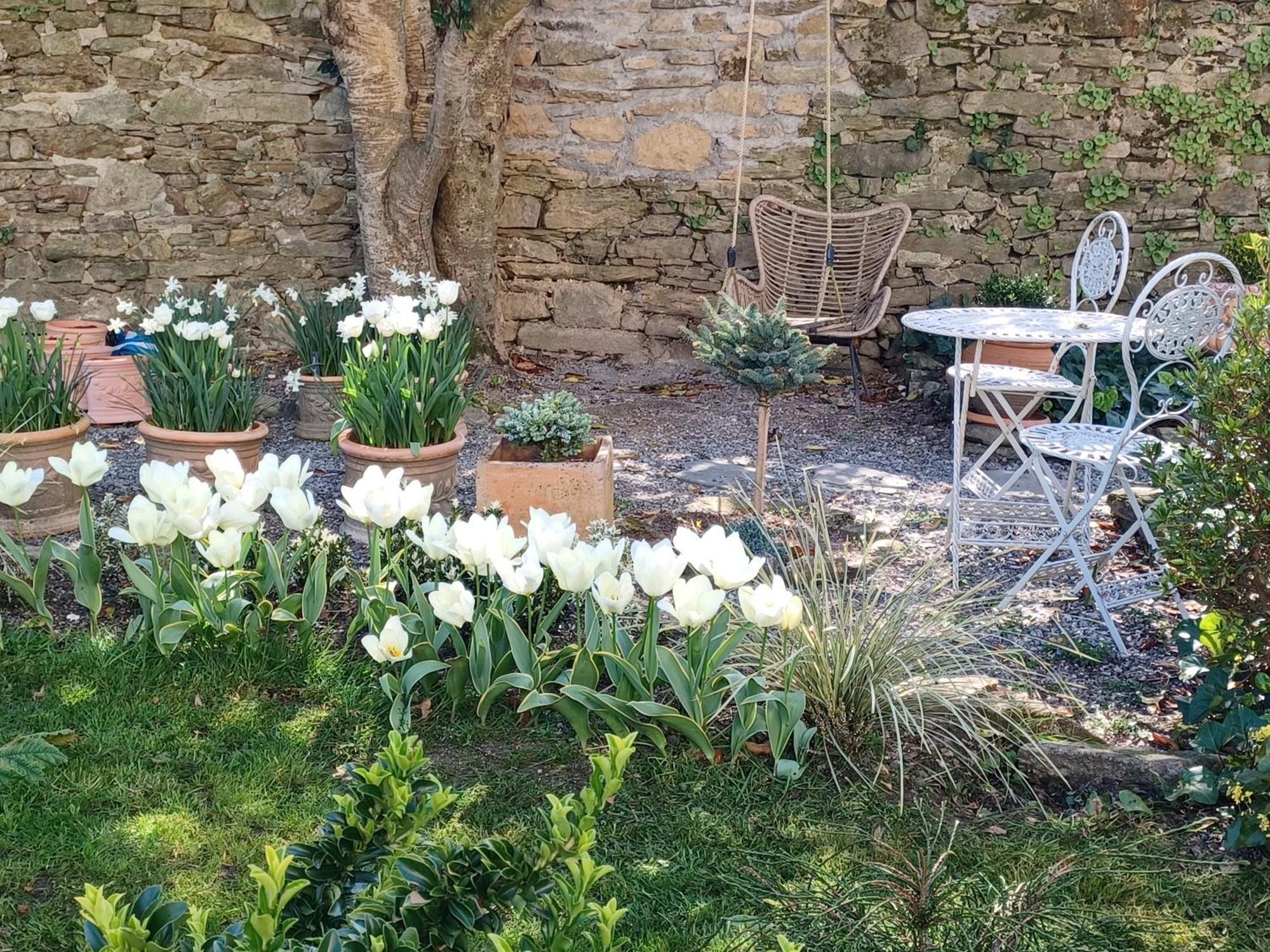 Le Banellou Bed & Breakfast Quimper Dış mekan fotoğraf